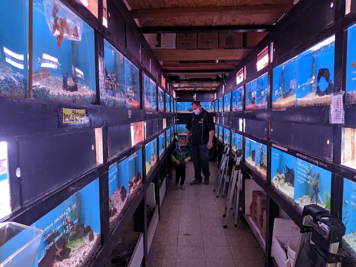 405 Tropical Fish Picture 2