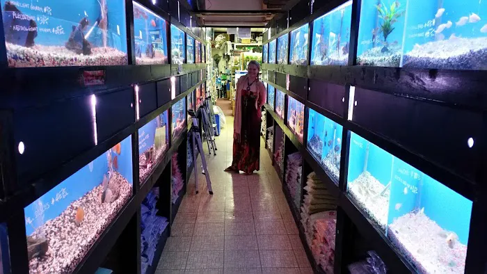405 Tropical Fish Picture 6