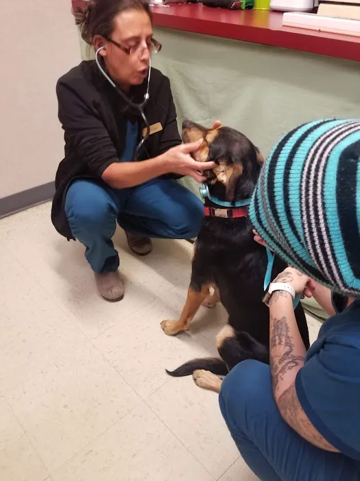 Redding Veterinary Hospital Picture 3