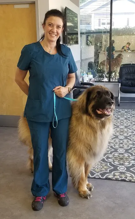 Ridgefield Veterinary Center Picture 6