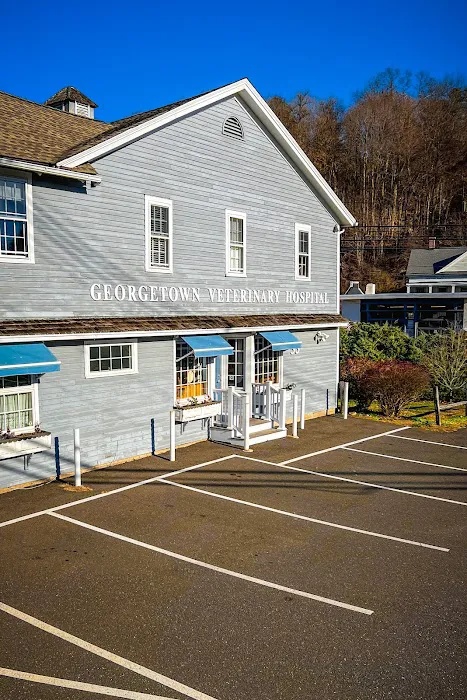 Georgetown Veterinary Hospital Picture 1