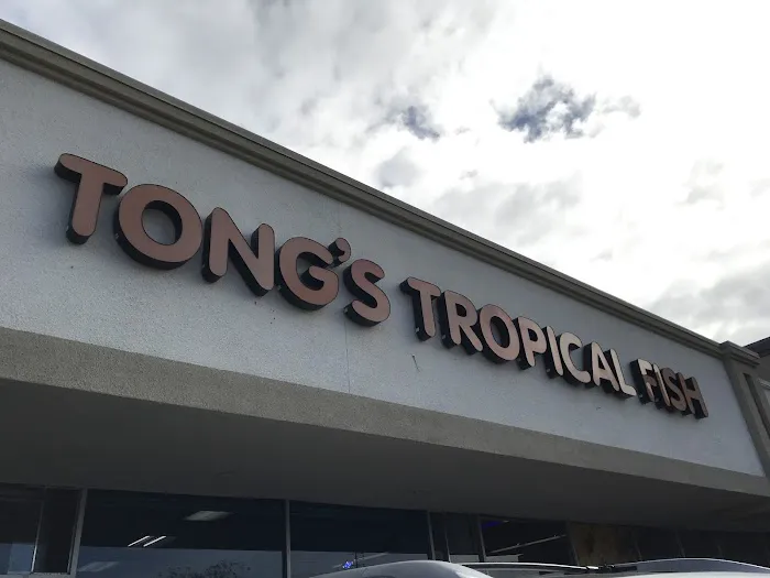 Tong's Tropical Fish & Pets Picture 2