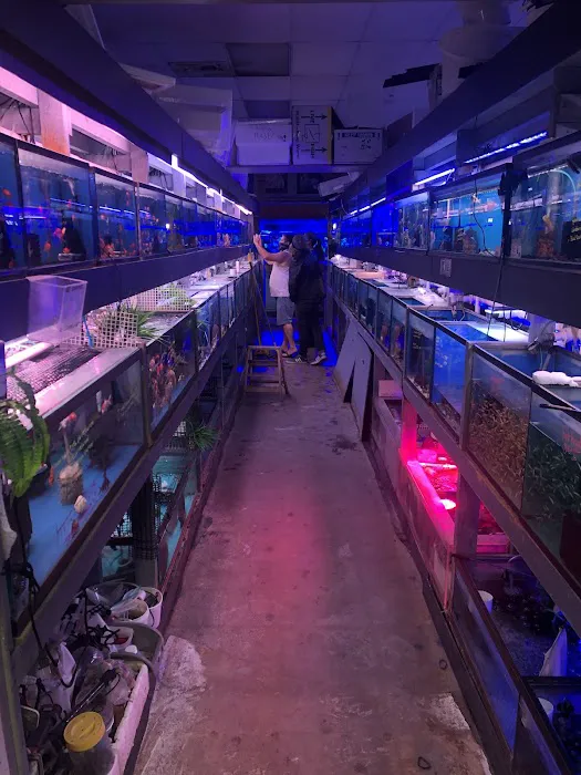 Tong's Tropical Fish & Pets Picture 1