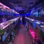 Tong's Tropical Fish & Pets