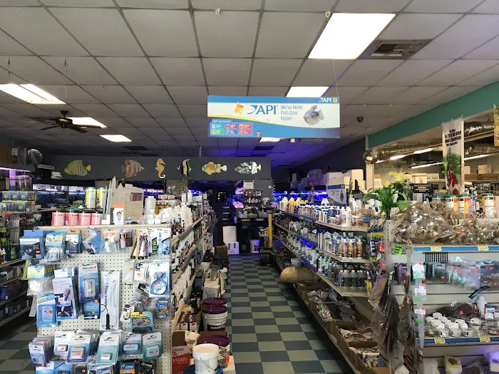 Tong's Tropical Fish & Pets Picture 5