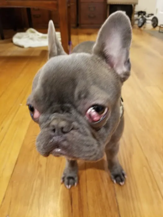 North Wilton Animal Hospital Picture 1