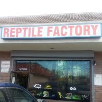 REPTILE FACTORY ico
