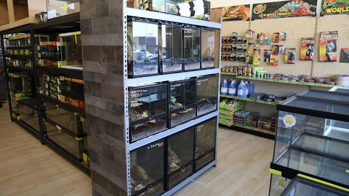 REPTILE FACTORY Picture 9