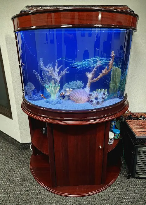 Majestic aquarium services Picture 6