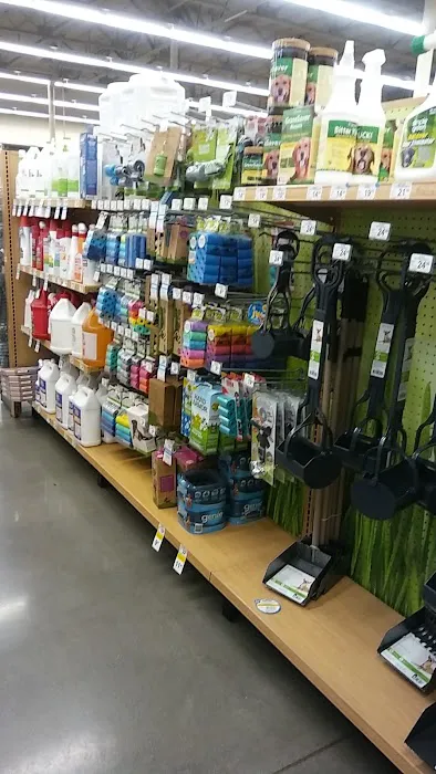 Petco Picture 2