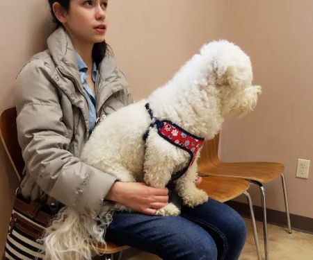 Plumtrees Animal Hospital: Baff Wesley A DVM
