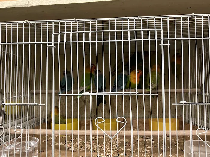 Ramirez Pet Shop Picture 1