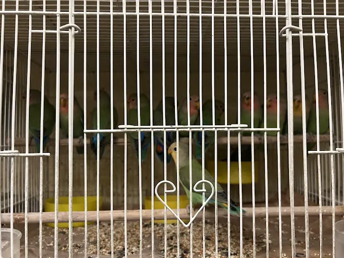 Ramirez Pet Shop Picture 7