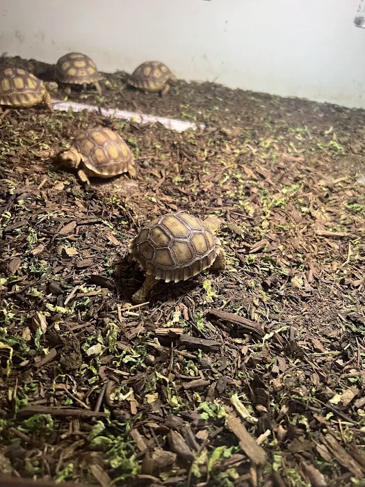Ramirez Pet Shop Picture 10