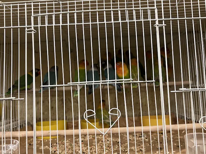 Ramirez Pet Shop Picture 6