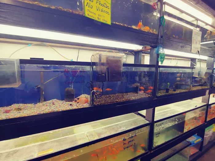 Ramirez Pet Shop Picture 4