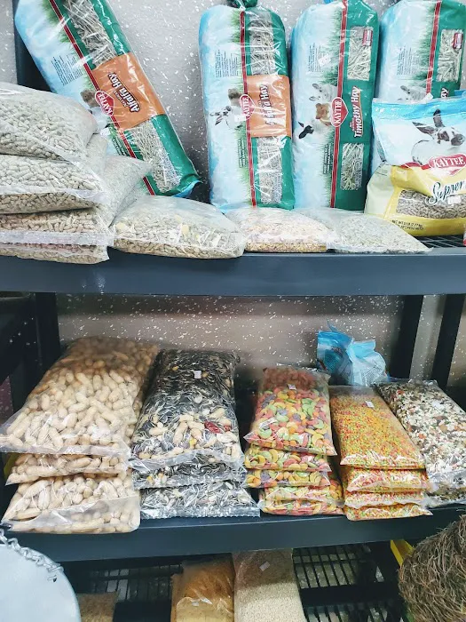Damasco pet shop Picture 6