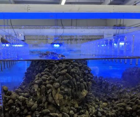 Harry's Marine Life