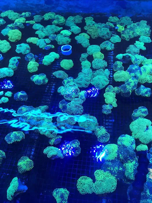 Harry's Marine Life Picture 4