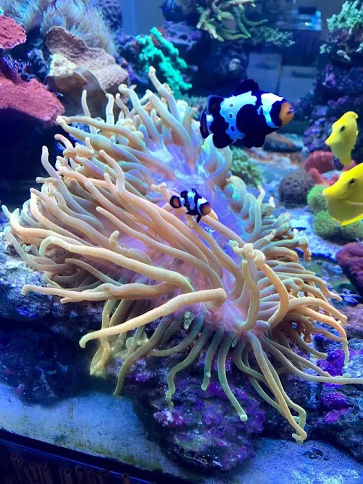 Harry's Marine Life Picture 5