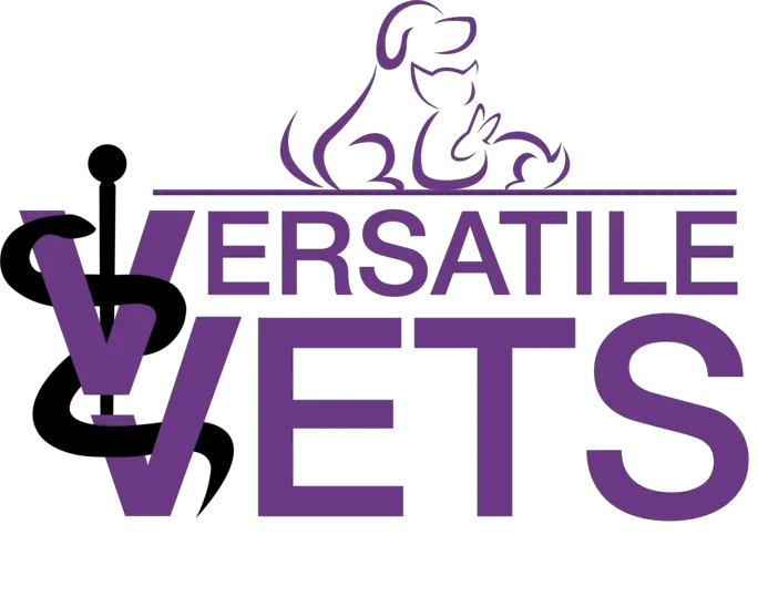 Versatile Vets Picture 1