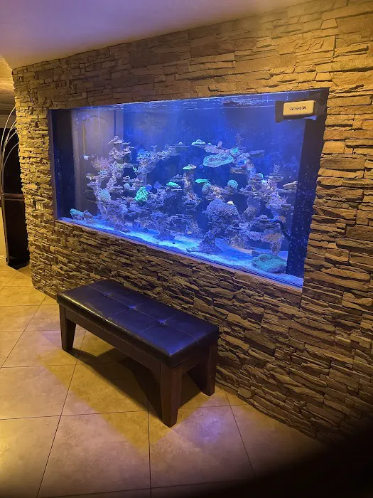 Coral Nerd | Saltwater Fish & Coral Store Picture 3