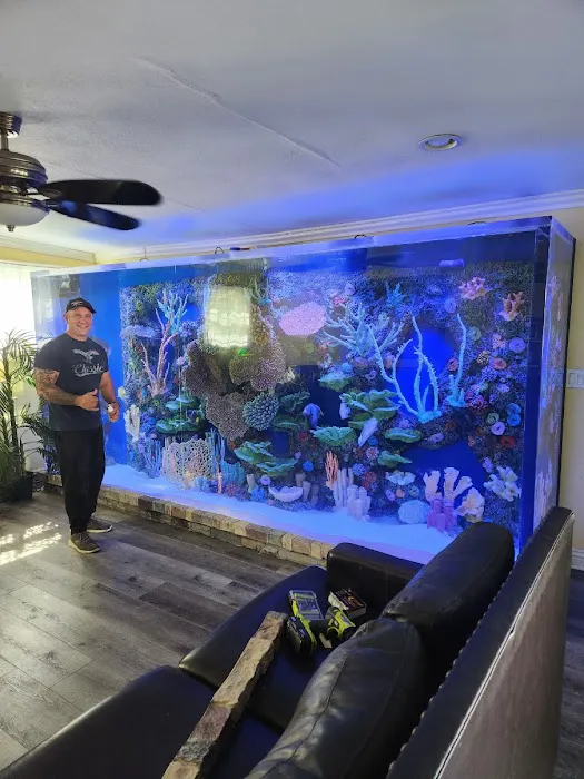 Coral Nerd | Saltwater Fish & Coral Store Picture 6