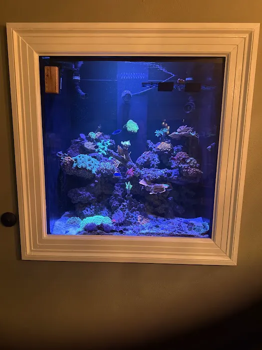 Coral Nerd | Saltwater Fish & Coral Store Picture 4