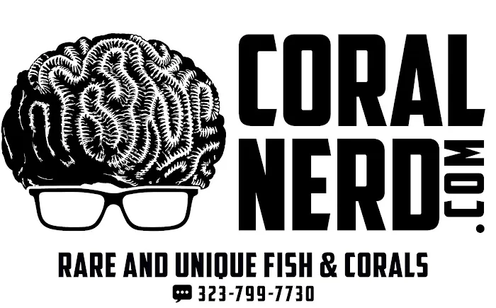 Coral Nerd | Saltwater Fish & Coral Store Picture 8