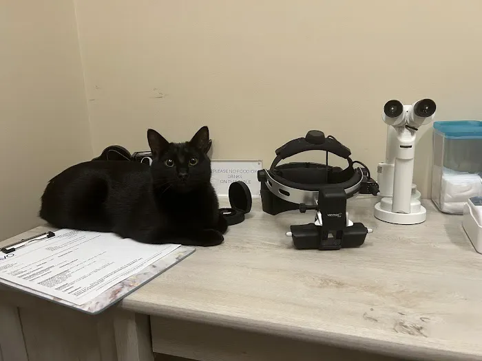 Armour Veterinary Ophthalmology Picture 2