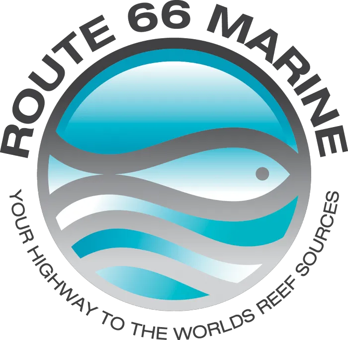 Route 66 Marine Picture 10