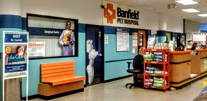 Banfield Pet Hospital Picture 5