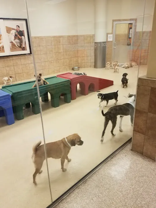 Banfield Pet Hospital Picture 3