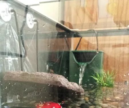 Planet Pet Shop