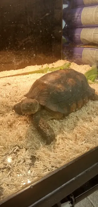 Planet Pet Shop Picture 3