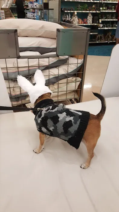 Petco Picture 1