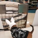 Petco
