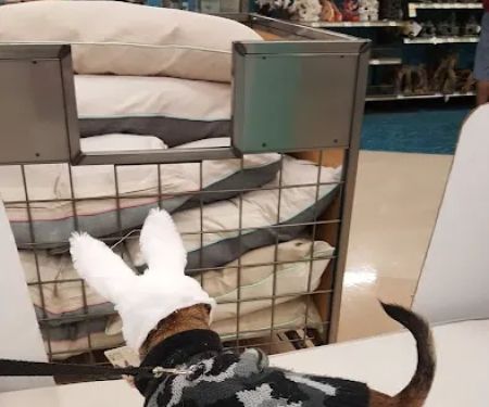 Petco