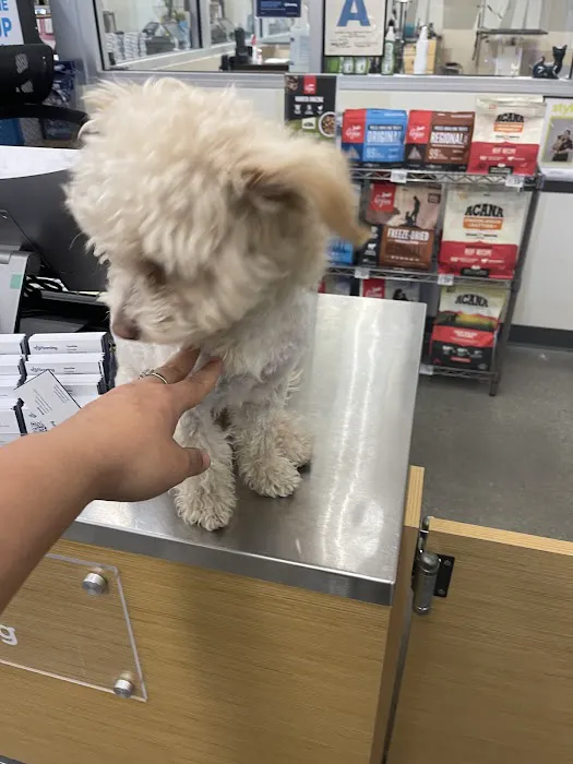 Petco Picture 4