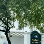Potomac Animal Hospital Inc