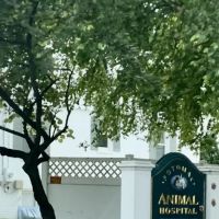 Potomac Animal Hospital Inc ico