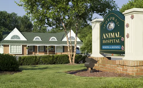 Potomac Animal Hospital Inc Picture 3