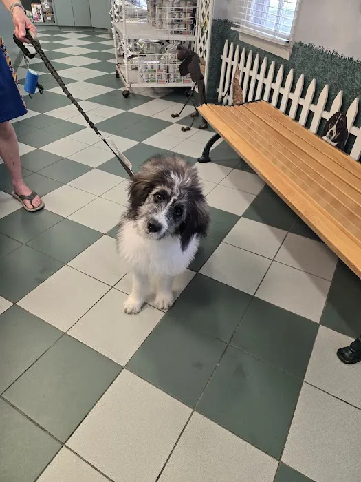 Potomac Animal Hospital Inc Picture 8