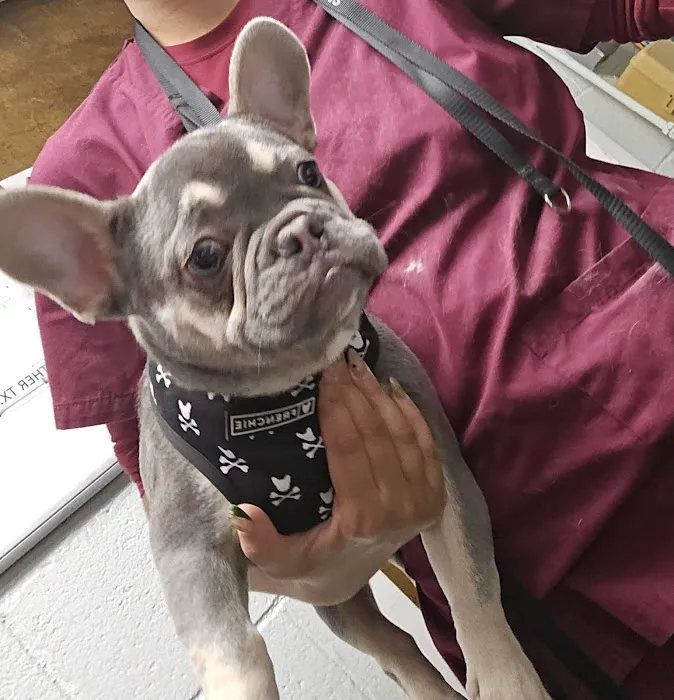 Potomac Animal Hospital Inc Picture 5