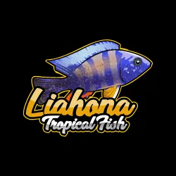 Liahona Tropical Fish Picture 6