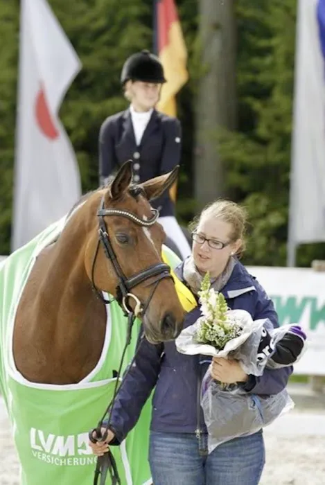 Echo Equine Picture 1