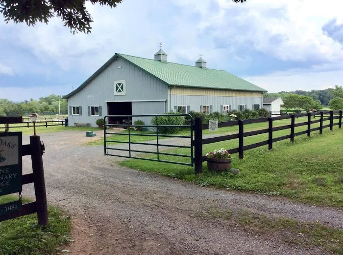 Tally Oaks Veterinary Service Picture 9