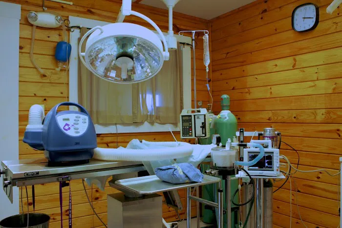 Tally Oaks Veterinary Service Picture 5