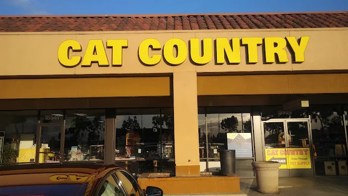 Cat Country Picture 2