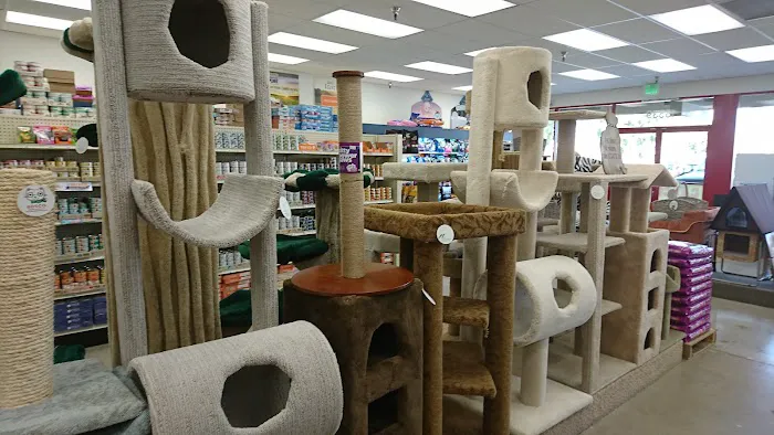Cat Country Picture 6